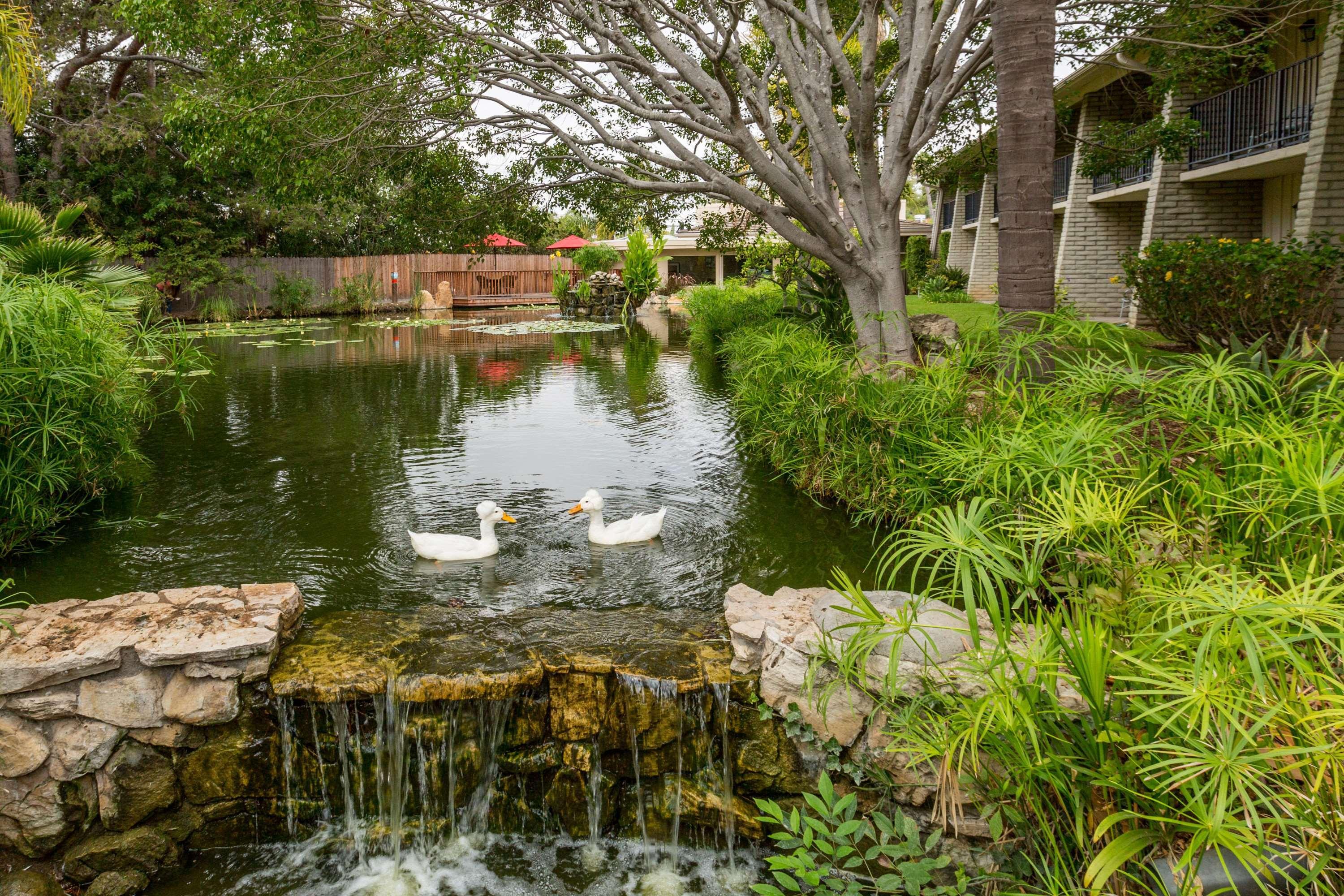 Ramada By Wyndham Santa Barbara Hotel Goleta Buitenkant foto