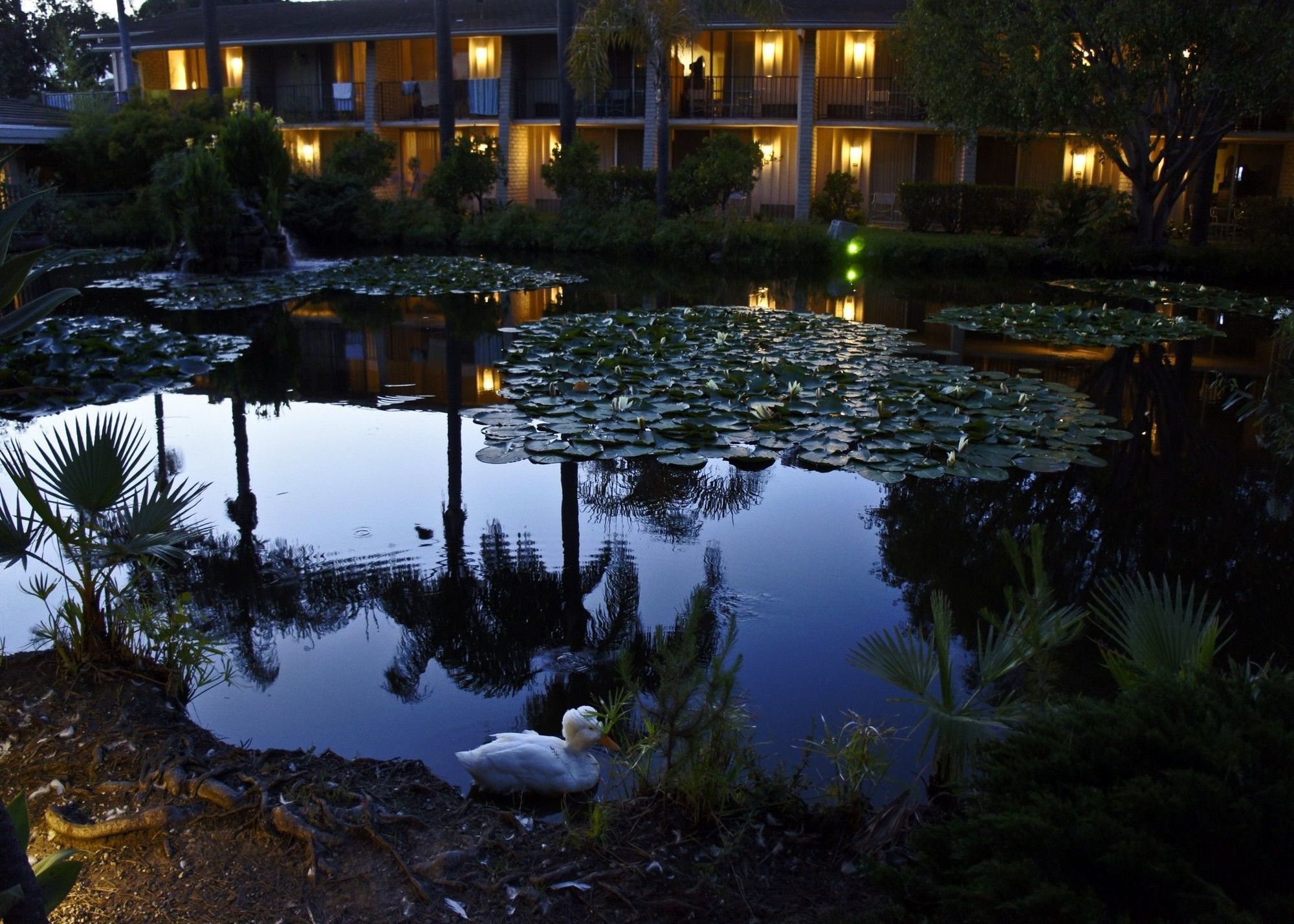 Ramada By Wyndham Santa Barbara Hotel Goleta Buitenkant foto